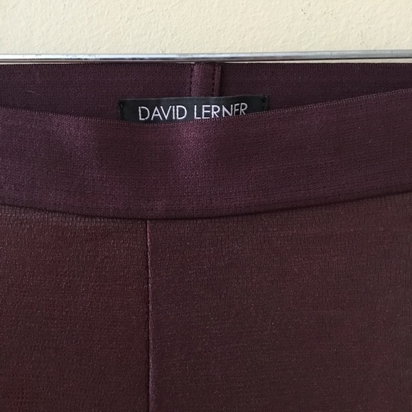 David Lerner Barlow Oxblood Coated Legging Pants - Picture 3 of 11